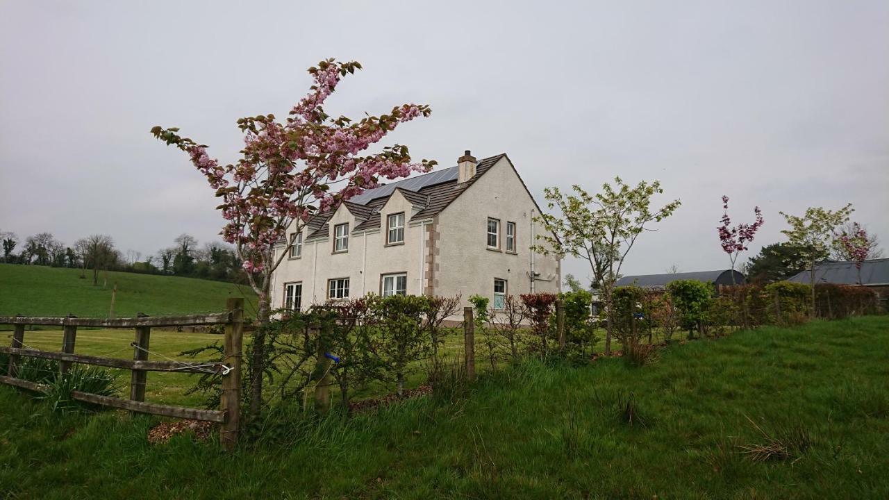 Laraghson House Landhuis Enniskillen